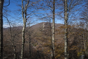 DSCF9938