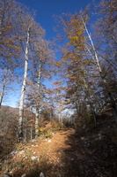 DSCF9943