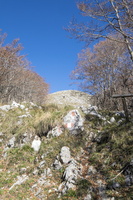 DSCF9955
