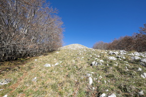 DSCF9957