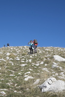 DSCF9960