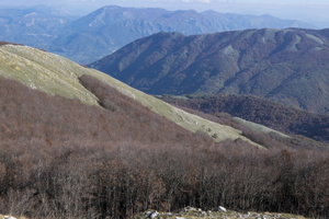 DSCF9969
