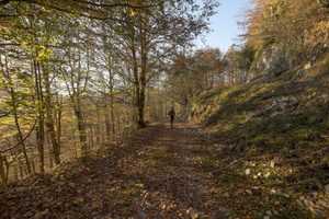 DSCF10001