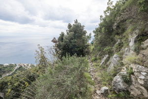 DSCF0080