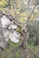 DSCF0100