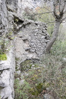 DSCF0101