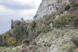 DSCF0107