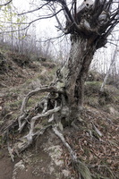 DSCF0113