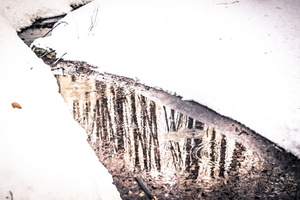 DSCF0324