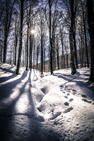 DSCF0329