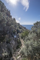 DSCF0475