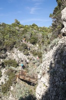 DSCF0484