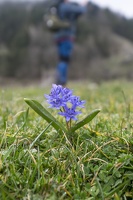 DSCF0509