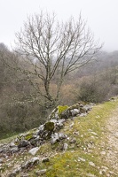 DSCF0519