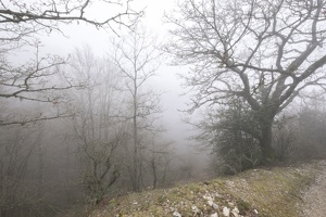 DSCF0521