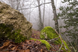 DSCF0531
