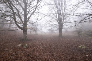 DSCF0537