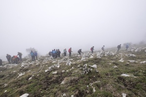 DSCF0545
