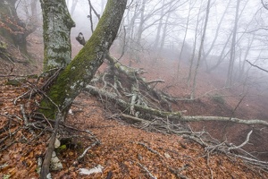 DSCF0557