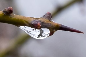 DSCF0560