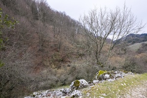 DSCF0564