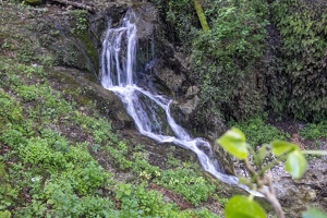 DSCF0566