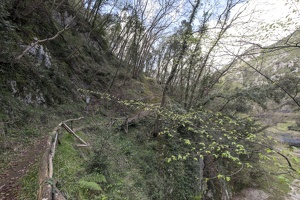 DSCF0573
