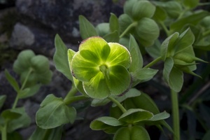 DSCF0574