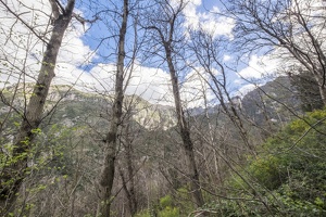 DSCF0578