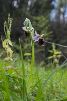 DSCF0584