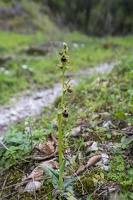 DSCF0588