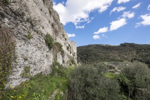 DSCF0639