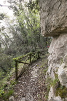DSCF0666