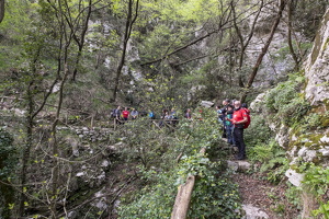 DSCF0667