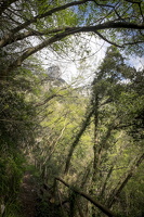 DSCF0668