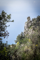 DSCF0675