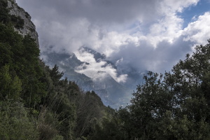 DSCF0677