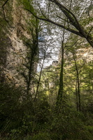 DSCF0687