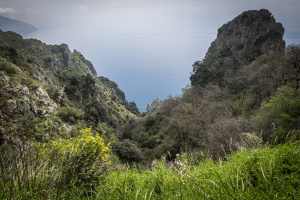 DSCF0707