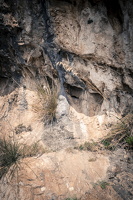 DSCF0714