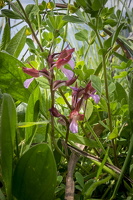 DSCF0720