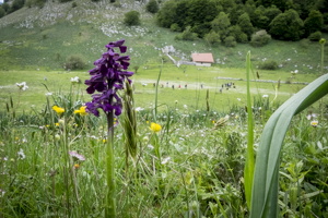 DSCF2854