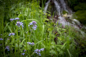 DSCF2864