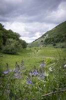 DSCF2875