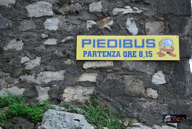 piedibus.JPG
