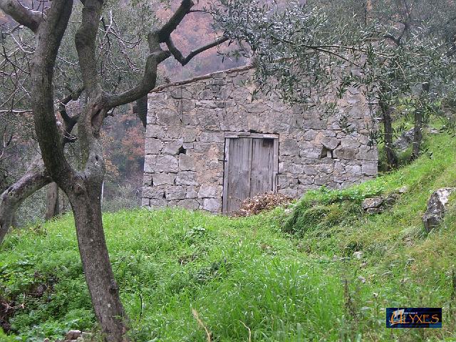 casolare.JPG
