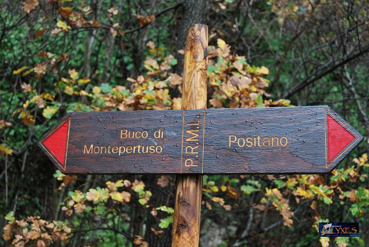 cartellonistica.JPG
