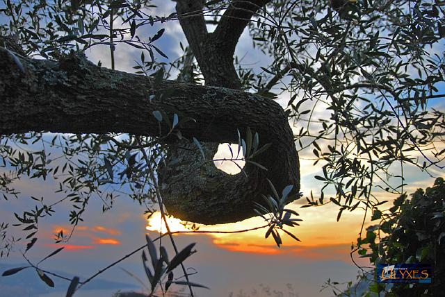 contorsione.JPG