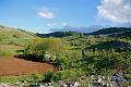 collinette