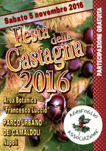 festa-della-castagna_agrifoglio_a5